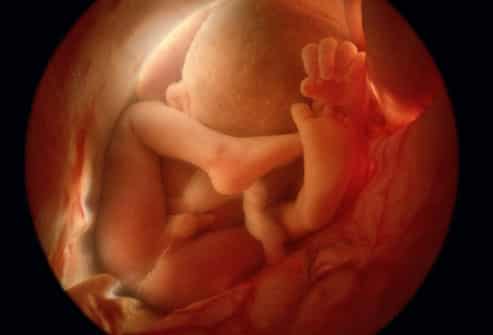 Foetal Growth